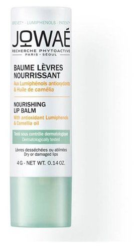 Baume Lèvres Nourrissant 4 gr