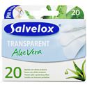 Transparent Aloe Vera 20