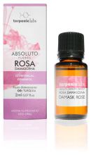 Rose de Damas Absolue 2 ml