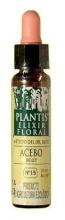 Plantis 15 houx 10 ml