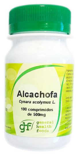 Artichaut 500 mg 100 Comprimés