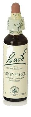 Bach 16 Chèvrefeuille 20 ml