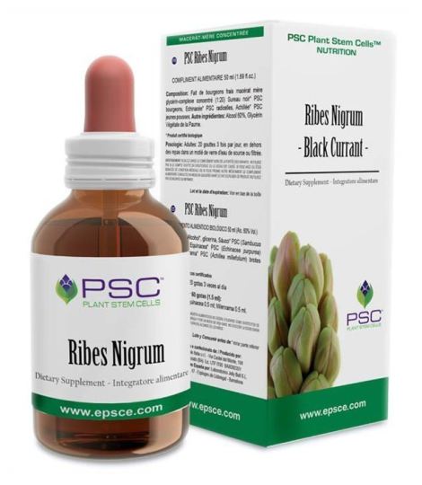 Psc Ribes nigrum 15ml.