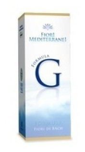 Formule G Fm (gestation) 10ml.