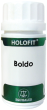 Holofit Chlorella