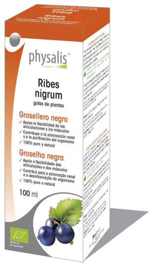 Extrait de Ribes Nigrum 100 ml Bio