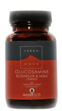 Base de glucosamine de Boswellia et de complexe Msm Capsules végétales