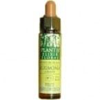 Noyer Plantis n ° 33 10 ml