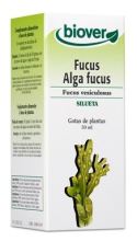 Fucus vésiculeux 50 ml