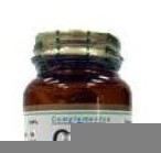 Gluconate de zinc 90 Cap.