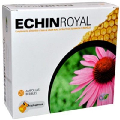 Royale Echin 20 Amp.