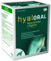 Hyaloral Giant Grandes Races