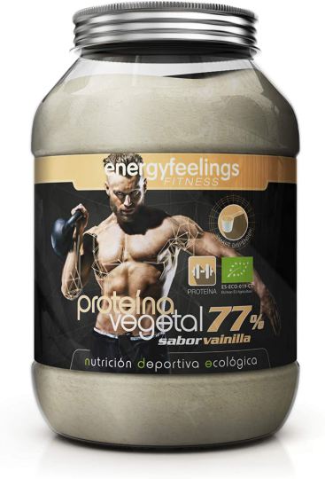 Org. Protéine Vegan 77% Vanille