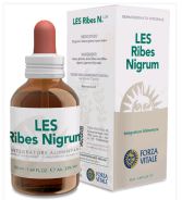 Cassis Ribes nigrum Les 50ml.